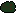 Bush